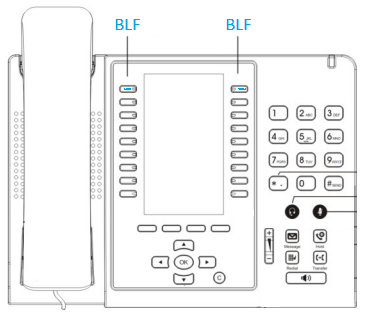 BLF IP Phone