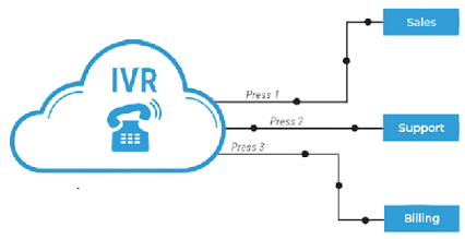 IVR options