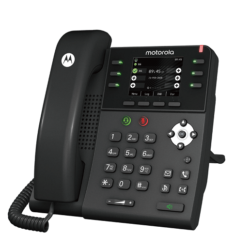 Motorola 300IP-6P | Satelco
